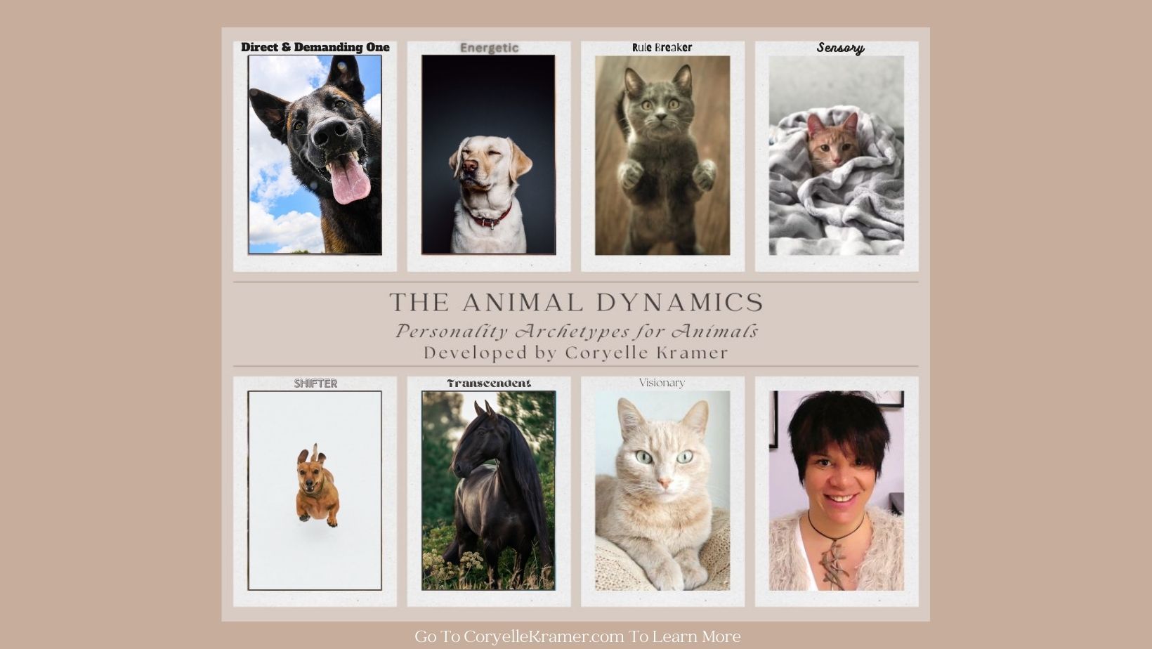 The Animal Dynamics®  ~ Personality Archetypes For Animals